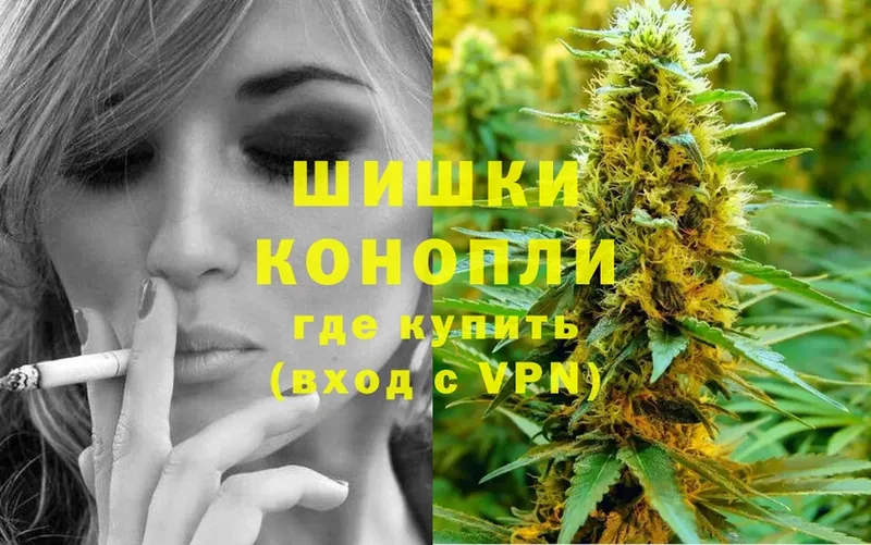 Бошки Шишки планчик  где можно купить   Вытегра 